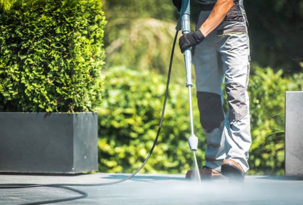 Best Gutter Cleaning  in Artesia, CA